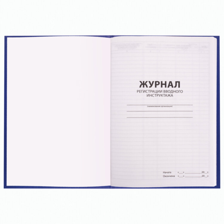 Журнал регистрации вводного инструктажа, 96 л., А4 200х290 мм, бумвинил, офсет BRAUBERG, 130258, 130258