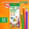 Карандаши цветные BRAUBERG KIDS NEW, 12 цветов, трехгранные, грифель 3 мм, 182001, 182001