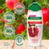 Шампунь для всех типов волос 450 мл PALMOLIVE НАТУРЭЛЬ "Гранат", блеск и забота, 8718951556324, 609040