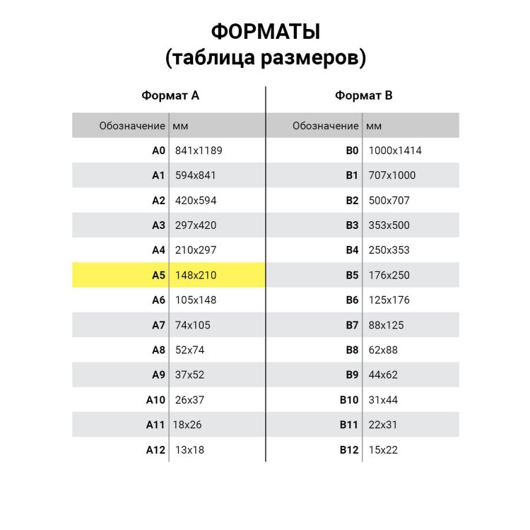 Карманы информационные самоклеящиеся PS-T, А5, горизонтальные, КОМПЛЕКТ 10 шт., ПЭТ, толщина 0,3 мм, 171882, 291001