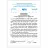 Ранец BRAUBERG SHINY, 2 отделения, с брелоком, "Счастливый кот", 38х28х14 см, 270697, 270697