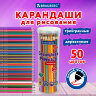 Карандаши цветные BRAUBERG PREMIUM 50 цветов в тубе, трехгранные, грифель 3,3 мм, натуральное дерево, 181935, 181935