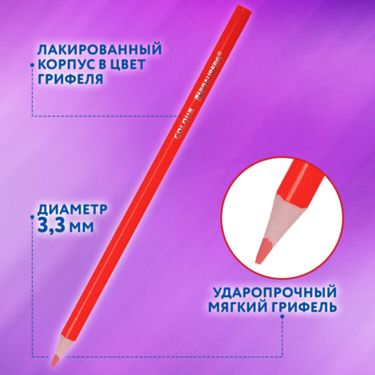Карандаши цветные BRAUBERG PREMIUM 50 цветов в тубе, трехгранные, грифель 3,3 мм, натуральное дерево, 181935, 181935