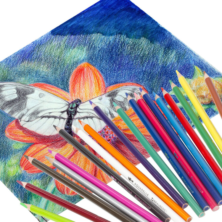 Карандаши цветные акварельные BRAUBERG PREMIUM AQUARELLE, 18 цветов, трехгранные, утолщенный грифель 4 мм, натуральное дерево, 181672, 181672
