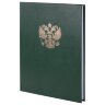 Книга учета 96 л., клетка, твердая, бумвинил, офсет, герб, А4 (200х290 мм), BRAUBERG, зеленая, 130277, 130277