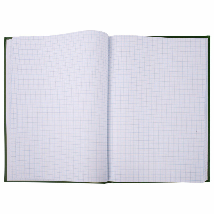 Книга учета 96 л., клетка, твердая, бумвинил, офсет, герб, А4 (200х290 мм), BRAUBERG, зеленая, 130277, 130277