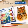 Карандаши цветные супермягкие яркие классические BRAUBERG MAX 120 цветов, шестигранные, натуральное дерево, грифель 3,3 мм, 182006, 182006
