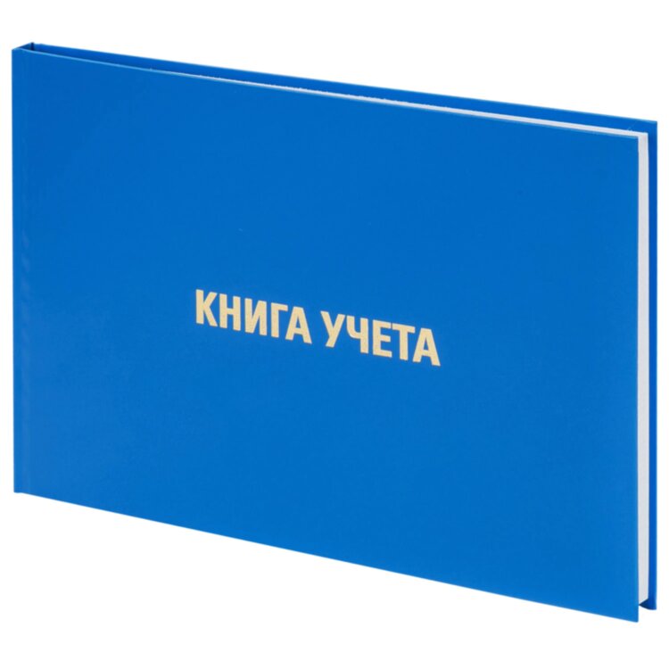 Книга учета 96 л., клетка, твердая, бумвинил, блок офсет, альбомная, А4 203х290 мм, BRAUBERG, 130074, 130074