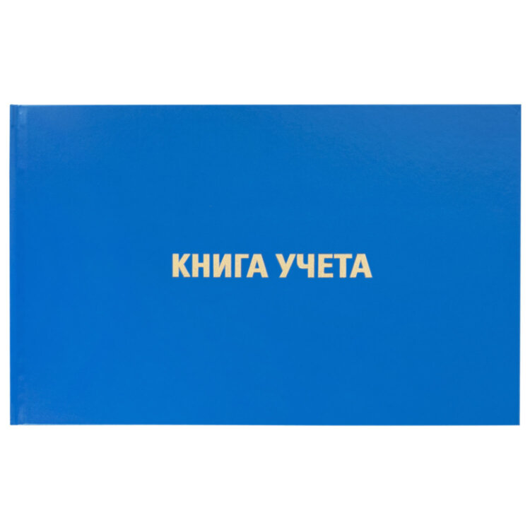 Книга учета 96 л., клетка, твердая, бумвинил, блок офсет, альбомная, А4 203х290 мм, BRAUBERG, 130074, 130074