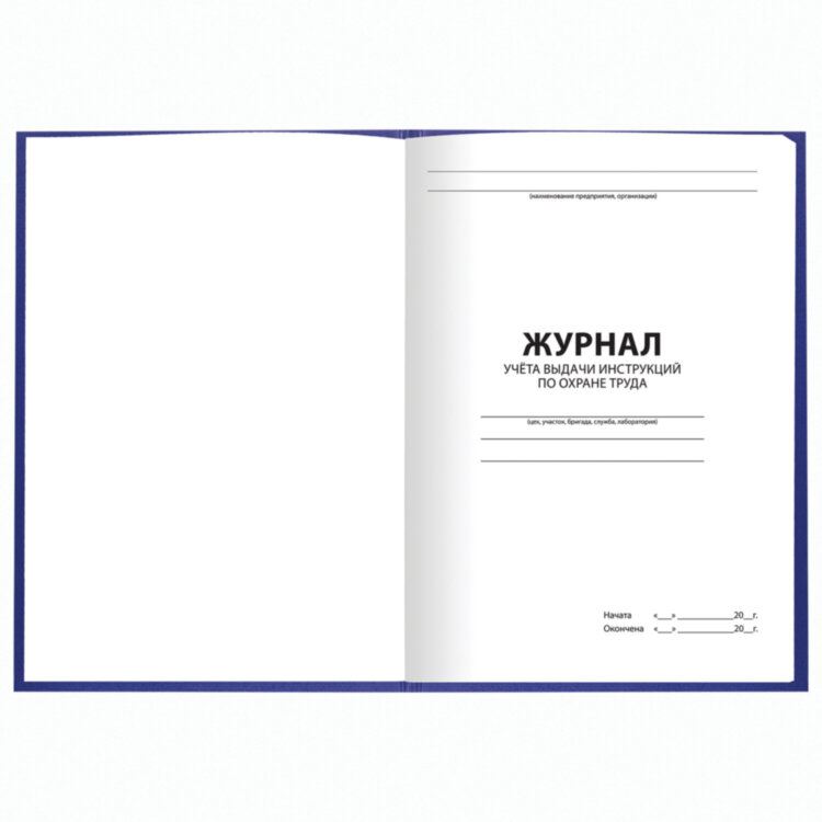 Журнал учёта выдачи инструкций по охране труда, 96 л., А4 200х290 мм, бумвинил, офсет, BRAUBERG, 130256, 130256