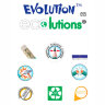 Карандаш чернографитный BIC, 1 шт., "Evolution", HB, с ластиком, корпус зеленый, 8803323, 36 штук, 180094