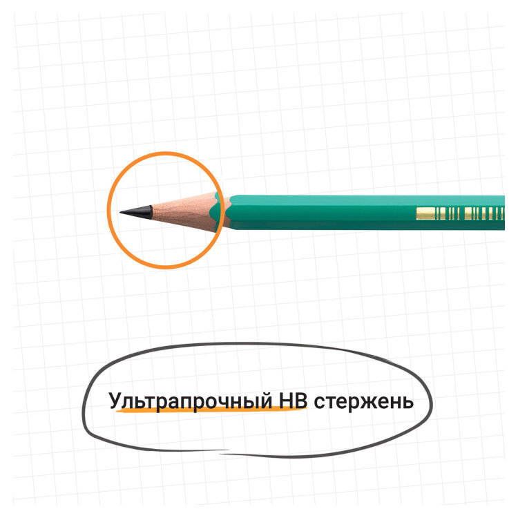 Карандаш чернографитный BIC, 1 шт., "Evolution", HB, с ластиком, корпус зеленый, 8803323, 36 штук, 180094