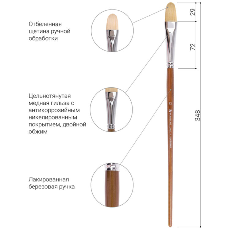 Кисть художественная профессиональная BRAUBERG ART CLASSIC, щетина, овальная, № 22, длинная ручка, 200737, 200737