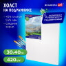 Холст на подрамнике BRAUBERG ART CLASSIC, 30х40 см, 420 г/м2, 45% хлопок 55% лен, среднее зерно, 191656, 191656