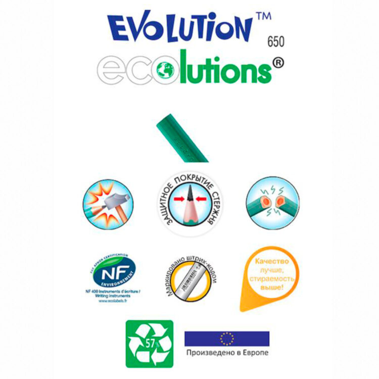 Карандаш чернографитный BIC, 1 шт., "Evolution", HB, корпус зеленый, 8803112, 60 штук, 180093