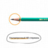Карандаш чернографитный BIC, 1 шт., "Evolution", HB, корпус зеленый, 8803112, 60 штук, 180093