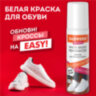 Краска для белой обуви (кожа, текстиль) 75 мл, губка, DASWERK, 607623, 607623