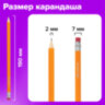 Карандаши чернографитные простые с ластиком HB, ВЫГОДНАЯ УПАКОВКА КОМПЛЕКТ 12 штук, BRAUBERG, 180635, 180635