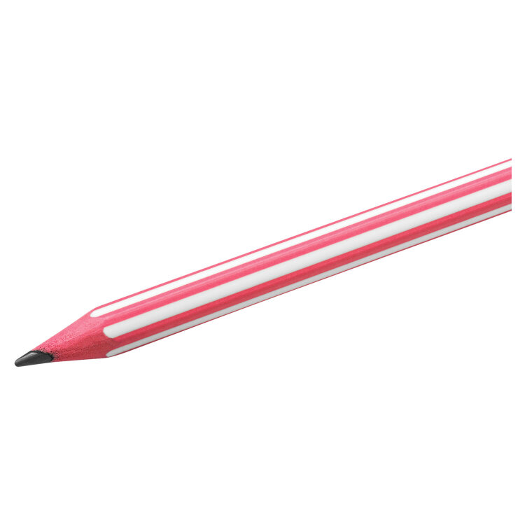 Карандаш чернографитный BIC, 1 шт., "Evolution Stripes", HB, корпус ассорти, 918487, 36 штук, 180923