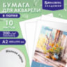 Папка для акварели БОЛЬШАЯ А2, 10 л., 200 г/м2, 400х590 мм, BRAUBERG АКАДЕМИЯ, "Полевые цветы", 117739, 117739