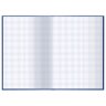 Книга учета 96 л., клетка, твердая, бумвинил, офсет, герб, А4 (200х290 мм), BRAUBERG, синяя, 130141, 130141