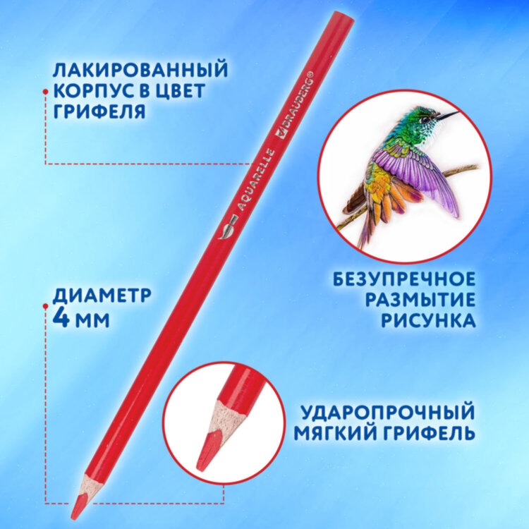 Карандаши цветные акварельные BRAUBERG PREMIUM AQUARELLE 36 цветов в тубе, трехгранные, утолщенный грифель 4 мм, натуральное дерево,181933, 181933