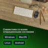 Мышь проводная SONNEN М-713, USB, 1000 dpi, 2 кнопки + колесо-кнопка, оптическая, черная, 512637, 512637