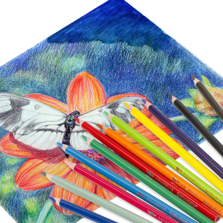 Карандаши цветные акварельные BRAUBERG PREMIUM AQUARELLE, 12 цветов, трехгранные, утолщенный грифель 4 мм, натуральное дерево, 181671, 181671