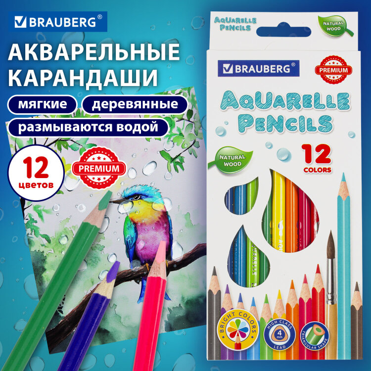Карандаши цветные акварельные BRAUBERG PREMIUM AQUARELLE, 12 цветов, трехгранные, утолщенный грифель 4 мм, натуральное дерево, 181671, 181671