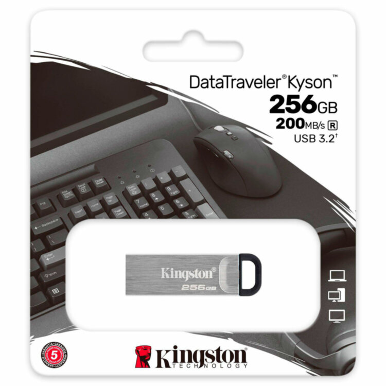 Флеш-диск 256 GB KINGSTON DataTraveler Kyson, разъем USB 3.2, серебряный, DTKN/256GB, 514064