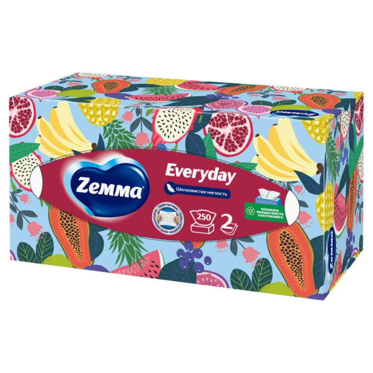 Салфетки косметические 2-слойные в картонном коробе, 250 штук, ZEMMA/ZEWA Everyday, 86791, 114755