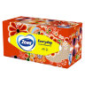 Салфетки косметические 2-слойные в картонном коробе, 250 штук, ZEMMA/ZEWA Everyday, 86791, 114755