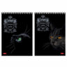 Блокнот А5 146х215 мм, 80 л., гребень, клетка, ламинация, 3D фольга, HATBER, "Royal Cats", 80Б5лофВ1гр, 12 штук, 114352