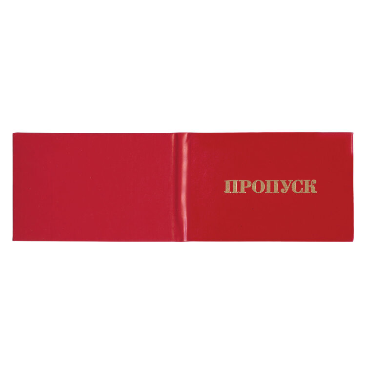 Бланк документа "Пропуск", 65х98 мм, STAFF, 129143, 129143