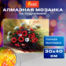Картина стразами (алмазная мозаика) 30х40 см, ОСТРОВ СОКРОВИЩ "Полевые цветы", на подрамнике, 662425, 662425