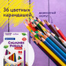 Карандаши цветные BRAUBERG PREMIUM, 36 цветов, трехгранные, грифель 3,3 мм, натуральное дерево, 181654, 181654