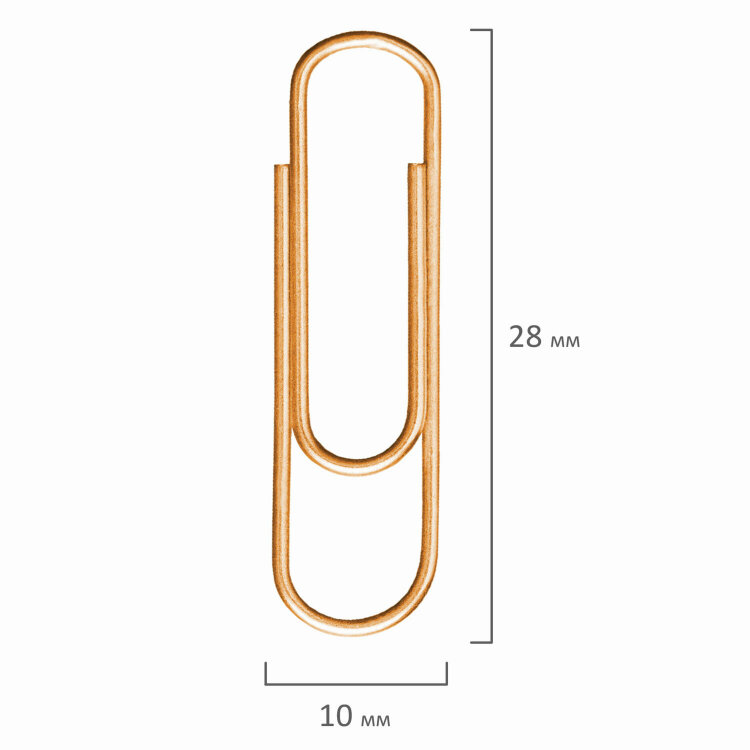 Скрепки BRAUBERG, 28 мм, золотистые, 100 шт., в картонной коробке, 221529, 221529