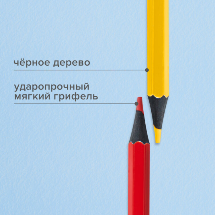 Карандаши цветные BRAUBERG, 24 цвета, шестигранные, грифель 3,3 мм, черное дерево, 181858, 181858