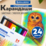 Карандаши цветные BRAUBERG, 24 цвета, шестигранные, грифель 3,3 мм, черное дерево, 181858, 181858