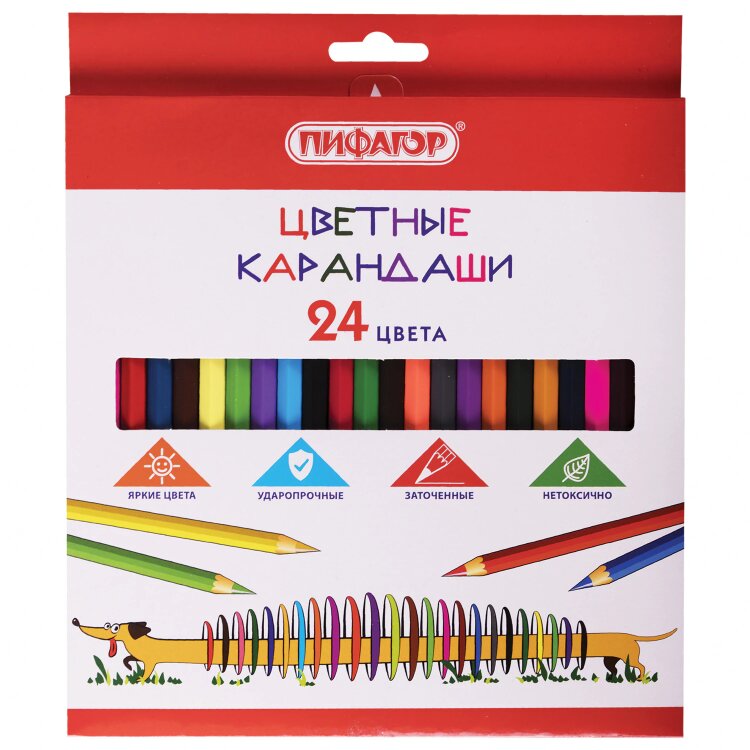 Карандаши цветные ПИФАГОР "Веселая такса", 24 цвета, шестигранные, натуральное дерево, 181808, 181808