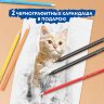 Карандаши цветные BRAUBERG PREMIUM 24 цвета + 2 чернографитных карандаша, трехгранные, грифель 3 мм, 181937, 181937