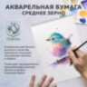Папка для акварели А4, 20 л., "ГАРМОНИЯ", зерно, 200 г/м2, бумага ГОЗНАК, BRAUBERG ART CLASSIC, 112320, 112320