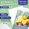 Папка для акварели БОЛЬШАЯ А3, 10 л., 200 г/м2, 297х420 мм, BRAUBERG АКАДЕМИЯ, "Летний натюрморт", 117741, 117741