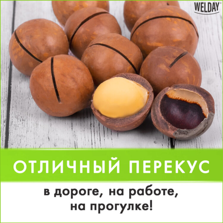 Макадамия в скорлупе с ключом WELDAY (ВЭЛДЭЙ) 1 кг, 622475, 622475