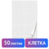 Блокнот для флипчарта ПЛОТНЫЙ 80 г/м2, BRAUBERG, 67,5х98 см, 50 листов, белый (КЛЕТКА), 128647, 128647