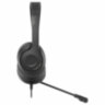 Наушники с микрофоном (гарнитура) A4TECH Fstyler FH100U, проводные, 2 м, USB, черные, 1774509, 513933