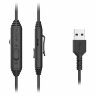 Наушники с микрофоном (гарнитура) A4TECH Fstyler FH100U, проводные, 2 м, USB, черные, 1774509, 513933