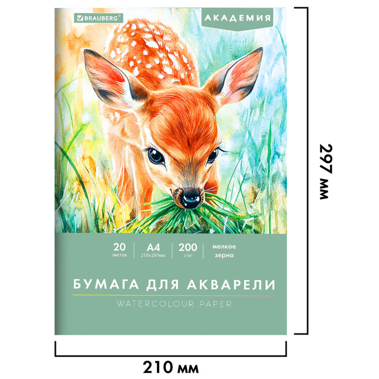 Папка для акварели А4, 20 л., 200 г/м2, 210х297 мм, BRAUBERG АКАДЕМИЯ, "Оленёнок", 117746, 117746