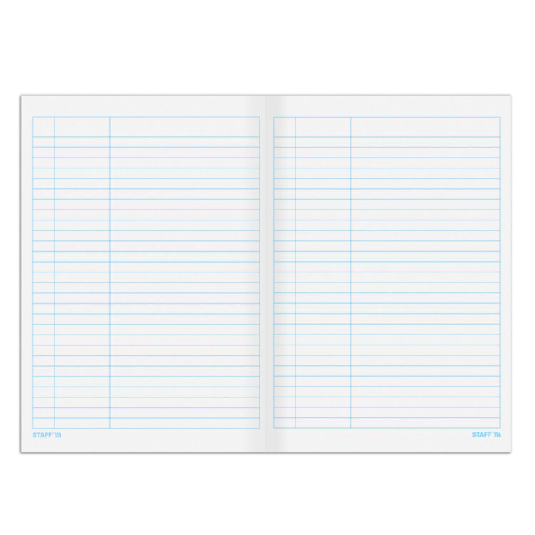 Книга учета 48 л., пустографка, обложка из мелованного картона, блок офсет, А4 200х290 мм, STAFF, 130212, 130212