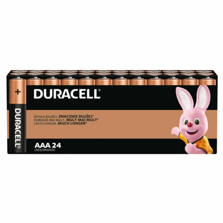 Батарейки КОМПЛЕКТ 24 шт., DURACELL Basic ОРИГИНАЛ, ААА (LR03, 24А), алкалиновые, мизинчиковые, Б0064969, 456994